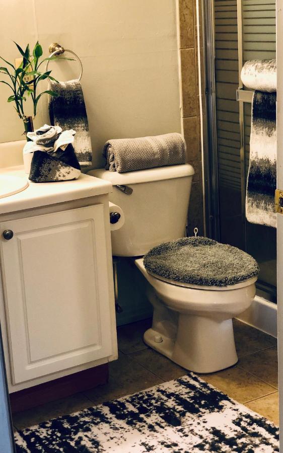 Just Thee Essentials! 10 Minutes From Downtown Apartment Detroit Exterior photo